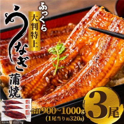 ふっくら大判特上うなぎ蒲焼 計約900〜1000g(約320g×3尾)【配送不可地域:離島】【1646345】福岡県大野城市21000魚介・海産物うなぎ