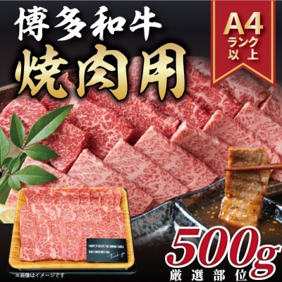 【毎月定期便】博多和牛 A4〜A5 焼き肉用【厳選部位】(500g)全3回【配送不可地域:離島】【4054207】福岡県大野城市33000肉牛肉