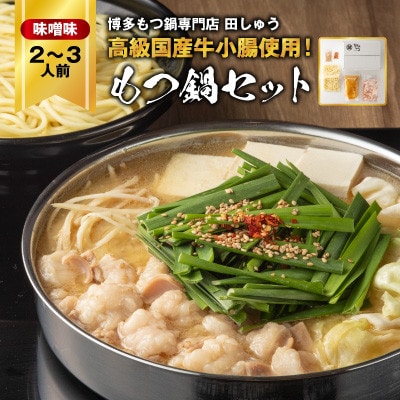 【毎月定期便】【博多もつ鍋専門店 田しゅう】高級国産牛小腸使用 もつ鍋セット味噌味2〜3人前全12回【配送不可地域:離島】【4055942】福岡県大野城市144000鍋セット・総菜・加工食品鍋