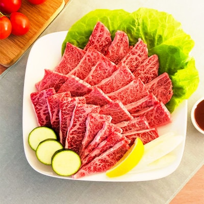【毎月定期便】【博多和牛】焼肉用 (合計500g)全7回【配送不可地域:離島】【4071627】福岡県大野城市84000肉牛肉