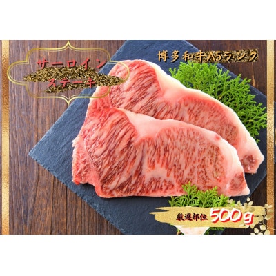 2023年8月発送開始『定期便』博多和牛A5サーロインステーキ500g(250g×2枚)全6回【配送不可地域:離島】【5100571】福岡県大野城市120000肉牛肉