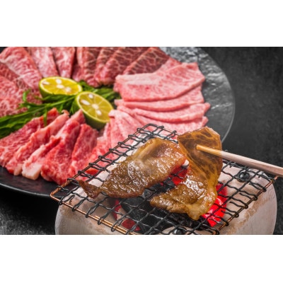 2023年4月発送開始『定期便』博多和牛A5焼き肉用【厳選部位】(500g)全6回【配送不可地域:離島】【5100603】福岡県大野城市102000肉牛肉