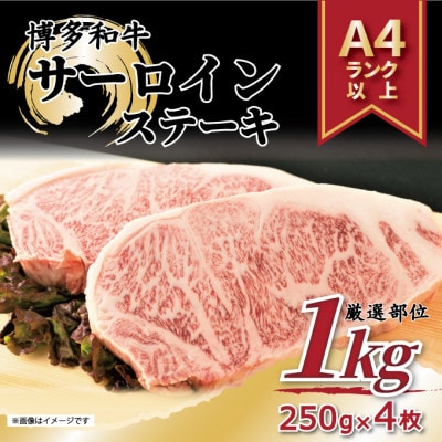 2023N10JnwցxaT[CXe[LZbg@1kg[250g×4]S3yzsnFzy5158462zs120000