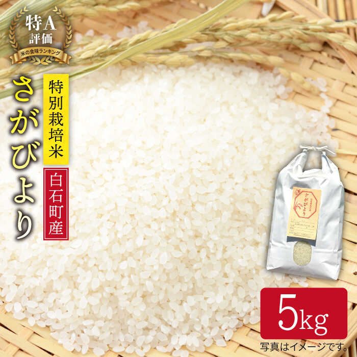 yߘa6NxYzʍ͔| ΎY тi5kgjỷw낢Jpj[z [IAA006]ꌧΒ15000āEp