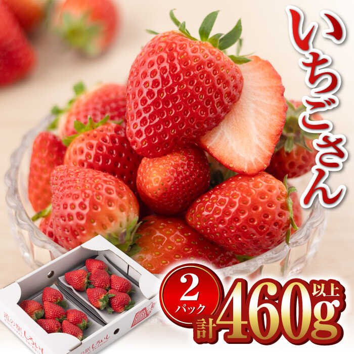 yR8N1ȍ~zys\zyYnzΎYuv 230g×2pbNiv460gȏjỷw낢Jpj[z [IAA037]ꌧΒ9000ʕEt[c
