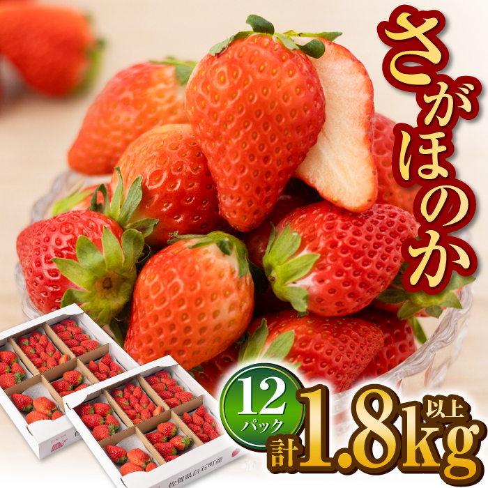 yR8N1ȍ~zΎY ق̂ 150g×12pbNiv1800gȏj [IAA038]ꌧΒ21000ʕEt[c