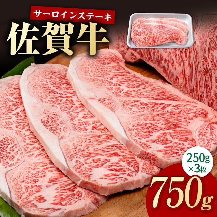 ꋍ ґ T[CXe[L 250g×3iv750gjyЂ͐Xz [IAG052]ꌧΒ38000