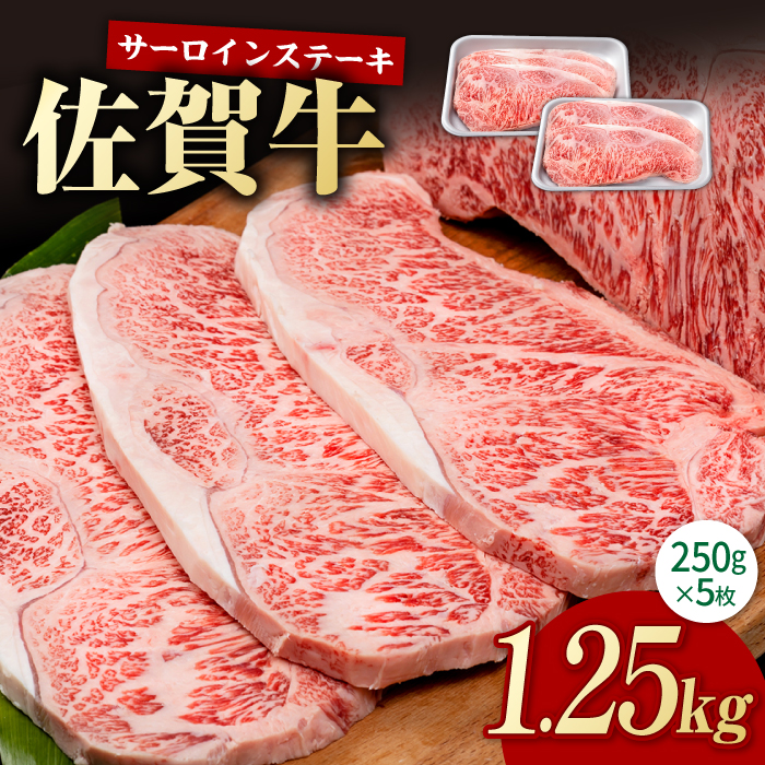 ꋍ ґ T[CXe[L 250g×5iv1250gjyЂ͐Xz [IAG054]ꌧΒ63000