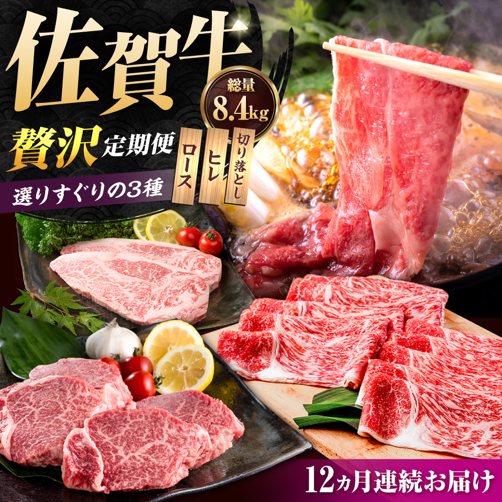 ỹvIIzyS12zꋍ ґ ցyЂ͐Xz [IAG076]ꌧΒ463000