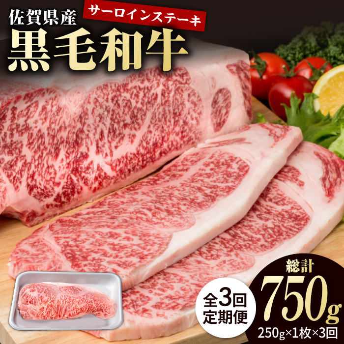 y3ցzꌧY јa ґ T[CXe[L 250g×1yЂ͐Xz/јa a    ґ  Xe[L [X [IAG084]ꌧΒ35000