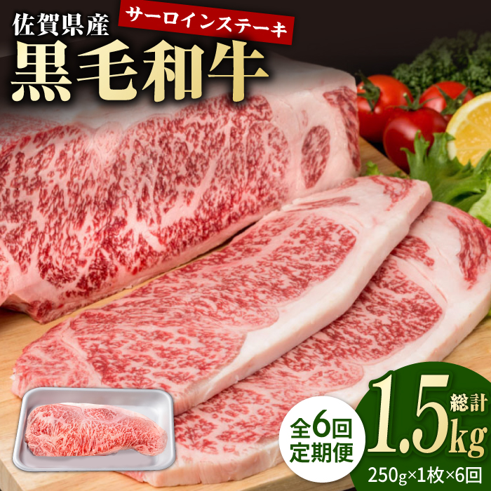 y6ցzꌧY јa ґ T[CXe[L 250g×1yЂ͐Xz/јa a    ґ  Xe[L T[C[IAG085]ꌧΒ69000