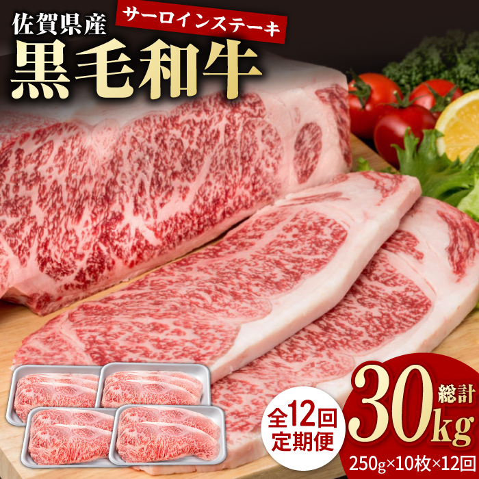 y12ցzꌧY јa ґ T[CXe[L 250g×10iv2.5kgjyЂ͐Xz/јa a    ґ  Xe[L T[C[IAG098]ꌧΒ120000