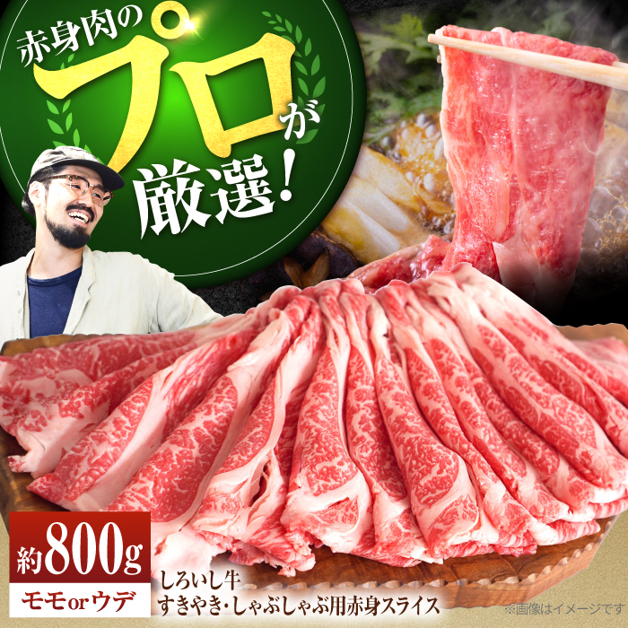 yq꒼zꌧY 낢 ₫EԂԗp Ԑg XCX iEEfj800g yLЍZgqz[IAH011]ꌧΒ20000