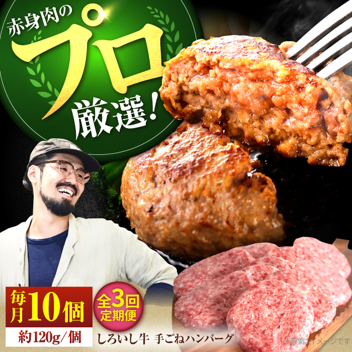 yq꒼zy3ցzꌧY 낢 {[Ղ 育 no[O 120g×10yLЍZgqz [IAH057]ꌧΒ60000HinE\[Z[Wj