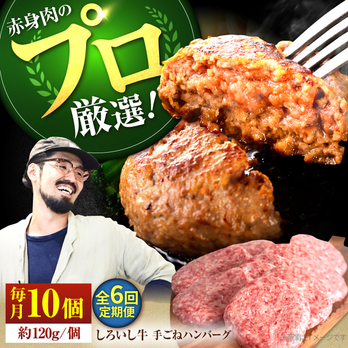 yq꒼zy6ցzꌧY낢 {[Ղ 育 no[O 120g×10yLЍZgqz [IAH058]ꌧΒ120000HinE\[Z[Wj