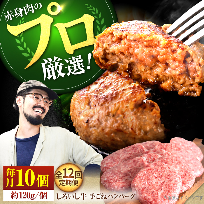 yq꒼zy12ցzꌧY낢 {[Ղ育˃no[O 120g×10yLЍZgqz [IAH059]ꌧΒ240000HinE\[Z[Wj