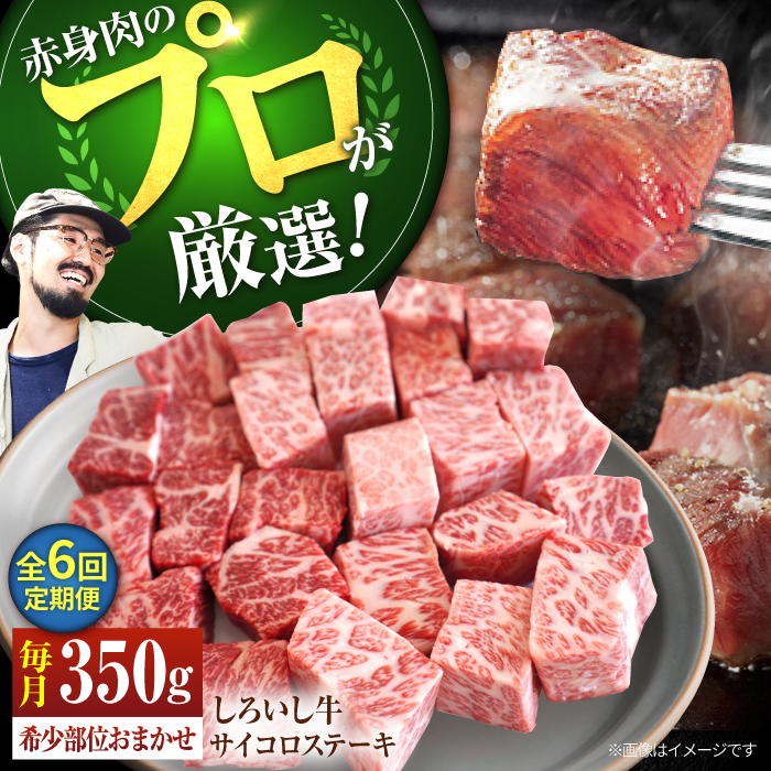 yq꒼zy6ցzꌧY 낢 TCRXe[Li󏭕ʁj350g yLЍZgqz [IAH146]ꌧΒ70000