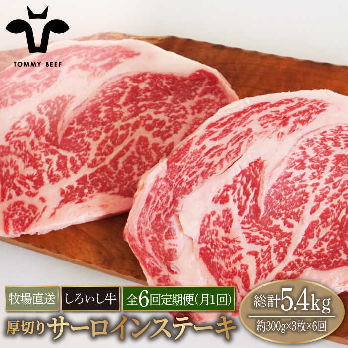 yq꒼zy6ցzꌧY 낢 ؂ T[CXe[L 900gi300g×3jyLЍZgqz [IAH155]ꌧΒ180000