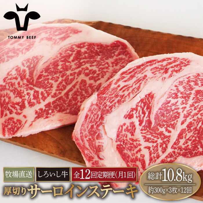 yq꒼zy12ցzꌧY 낢 ؂ T[CXe[L 900gi300g×3jyLЍZgqz [IAH156]ꌧΒ360000