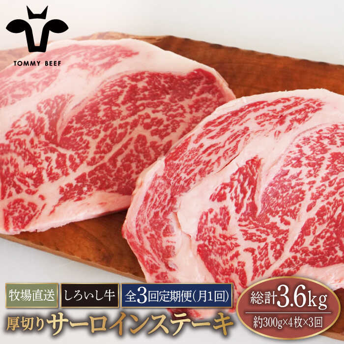 yq꒼zy3ցzꌧY 낢 ؂ T[CXe[L 1.2kgi300g×4jyLЍZgqz [IAH157]ꌧΒ120000