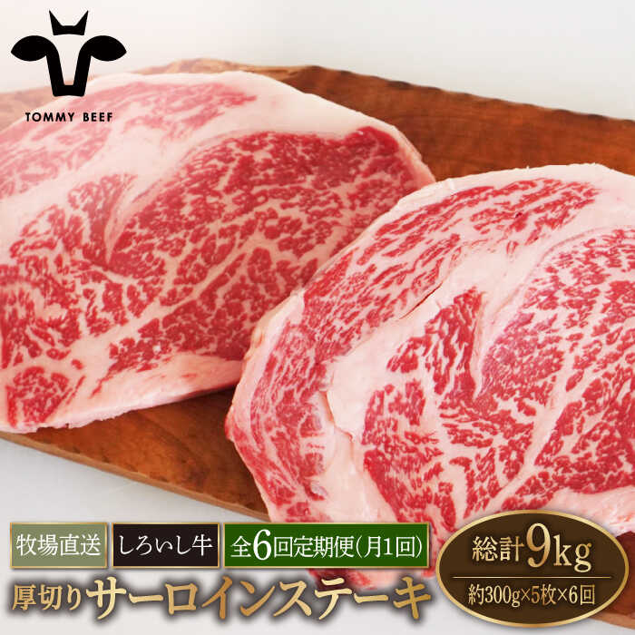 yq꒼zy6ցzꌧY 낢 ؂ T[CXe[L 1.5kgi300g×5jyLЍZgqz [IAH161]ꌧΒ300000