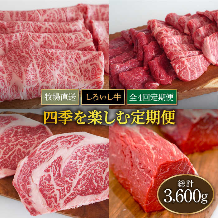 yq꒼zyS4zꌧY 낢 lGy ցyLЍZgqz [IAH176]ꌧΒ100000