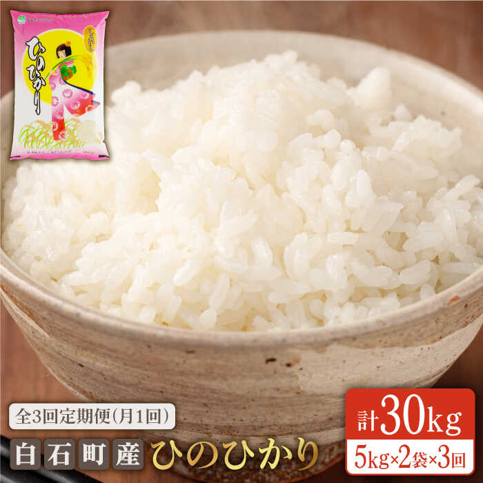 y3ցzΎY Ђ̂Ђ e10kgi5kg×2܁jyFE|ESۗ āzyꌧ_Ƌgz [IAK007]ꌧΒ85000āEp