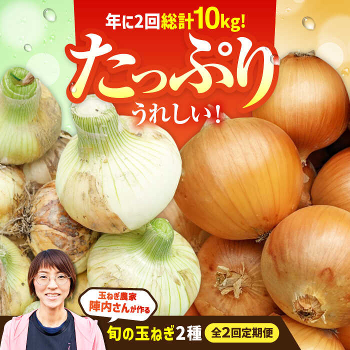y2ցz_ƒ ʂ˂ 5kg/ yʔK_ wЂz [IAO026]ꌧΒ18000؁Êʂ˂E˂