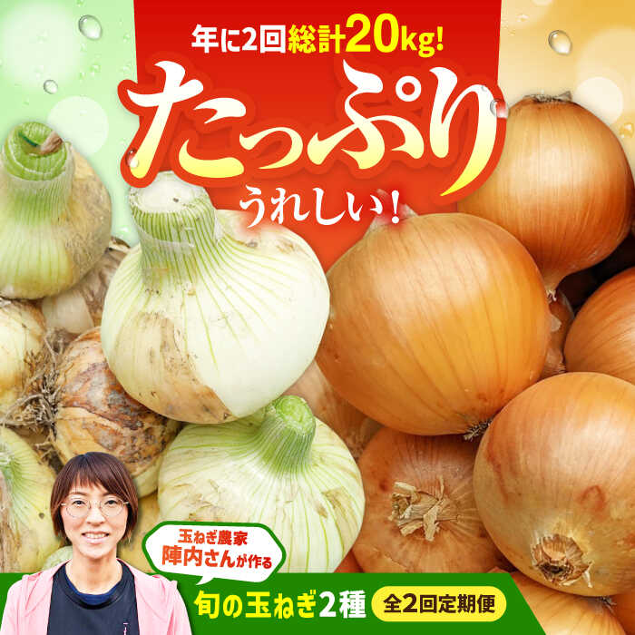 y2ցz_ƒ ʂ˂ 10kg/ yʔK_ wЂz [IAO027]ꌧΒ31000؁Êʂ˂E˂
