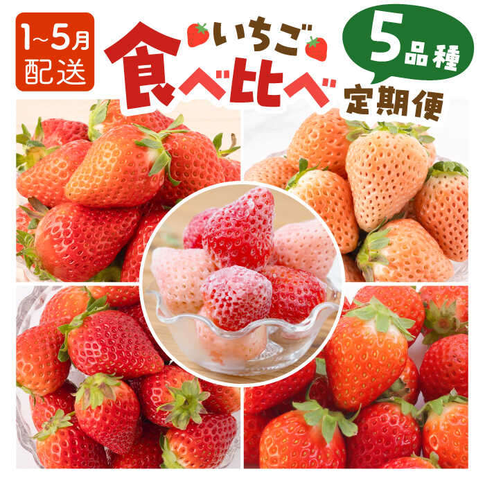 yR8N1ȍ~zys\zy5ցz 5i Hה  Ȃ 󏭕i Iyݐ_z [IAP010]ꌧΒ56000ʕEt[c