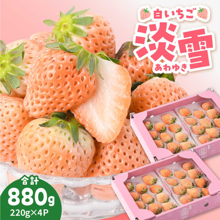 ys\zق̂sN  uWv220g×4pbNyݐ_z [IAP033]ꌧΒ21000ʕEt[c