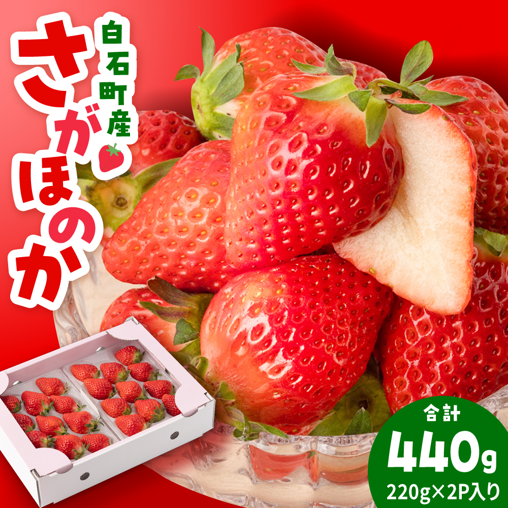 yR8N1ȍ~zΎYuق̂v 220g×2pbN yݐ_z [IAP048]ꌧΒ9000ʕEt[c