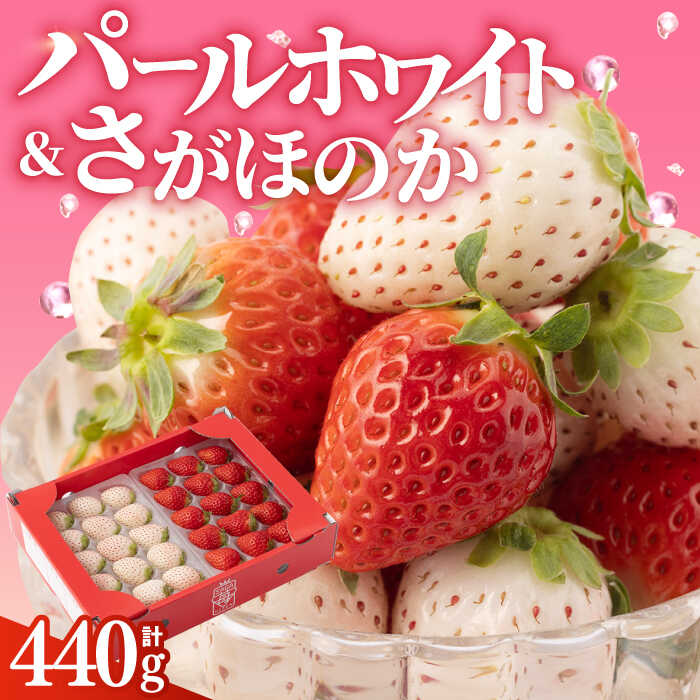 ys\z y_ƒz HהׁIwق̂xƁwp[zCgx220g×2pbNie220gjynV_t@[z [IAQ005]ꌧΒ12000ʕEt[c