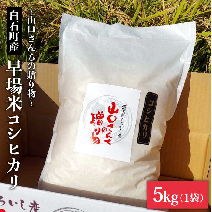 yߘa7N8ȍ~zyߘa7NxYzʍ͔|  RVqJ 5kg R񂿂̑蕨yy'scompanyz [IAS001]ꌧΒ17000āEp