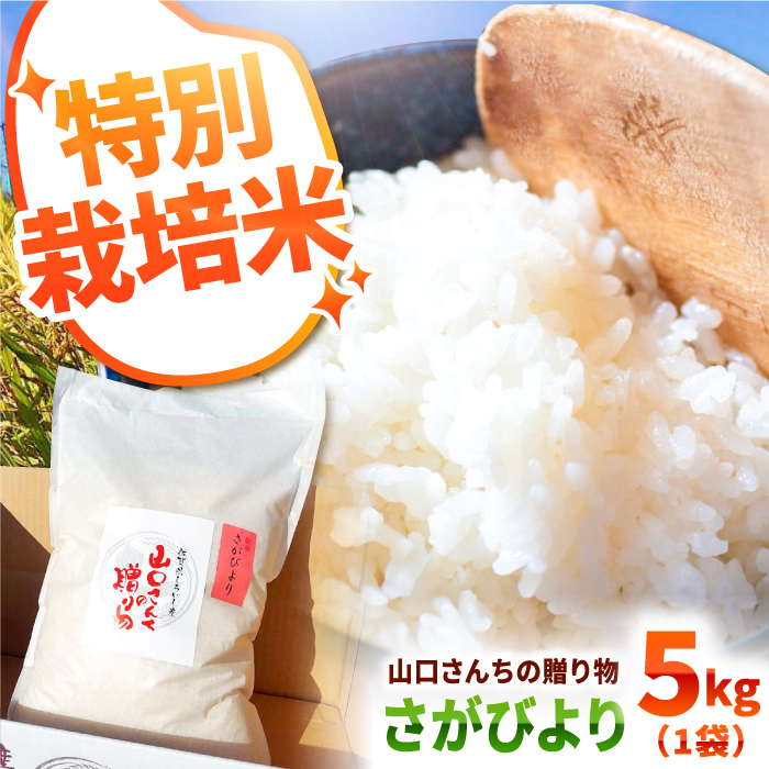 yߘa7N11ȍ~zyߘa7NxYzʍ͔| т 5kg  R񂿂̑蕨yy'scompanyz [IAS005]ꌧΒ17000āEp