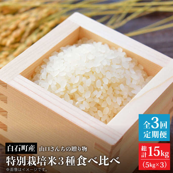 yߘa8N1ȍ~zyS3zʍ͔| 3 Hה  e 5kg R񂿂̑蕨yy'scompanyz [IAS014]ꌧΒ50000āEp