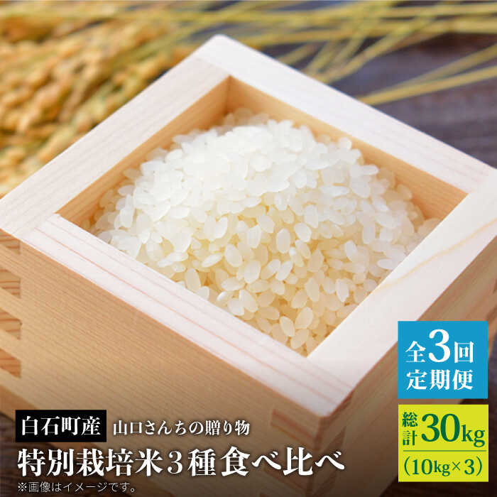 yߘa8N1ȍ~zyS3zʍ͔| 3 Hה  e 10kg R񂿂̑蕨 yy'scompanyz [IAS015]ꌧΒ100000āEp