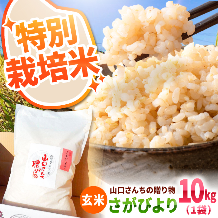 yߘa7N11ȍ~zyߘa7NxYz ʍ͔| тiāj 10kg yy'scompanyz [IAS022]ꌧΒ34000āEpāEGāEāE