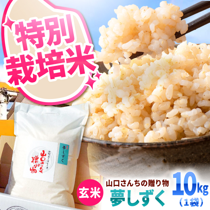 yߘa7N10ȍ~zyߘa7NxYz ʍ͔| iāj 10kg yy'scompanyz [IAS024]ꌧΒ34000āEpāEGāEāE