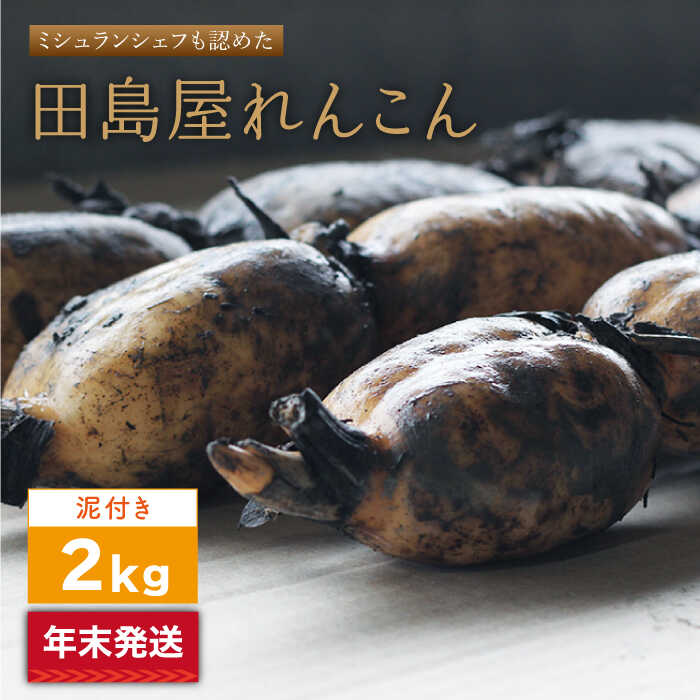 yNzys\z 񂱂iDtj 2kg yc񂱂z [IAV004]ꌧΒ11000؁Ê卪EjWEؗ