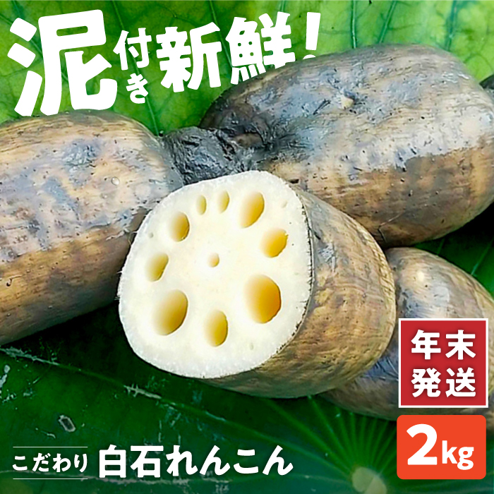 yNzys\z 񂱂iDtj 2kg y񂱂̉Ƃ܂z [IAW004]ꌧΒ11000؁Ê卪EjWEؗ