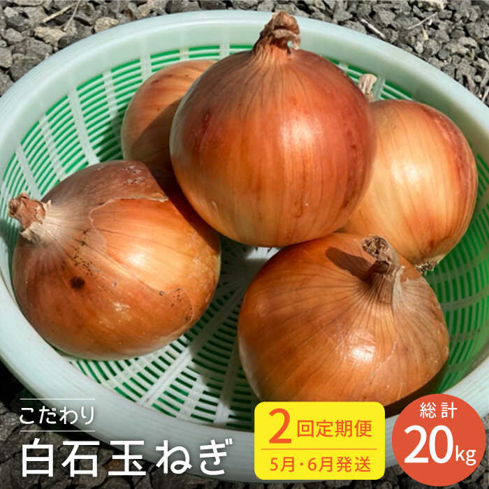 yS2ցz56   ʂ˂ 10kgy񂱂̉Ƃ܂z [IAW007]ꌧΒ14000؁Êʂ˂E˂