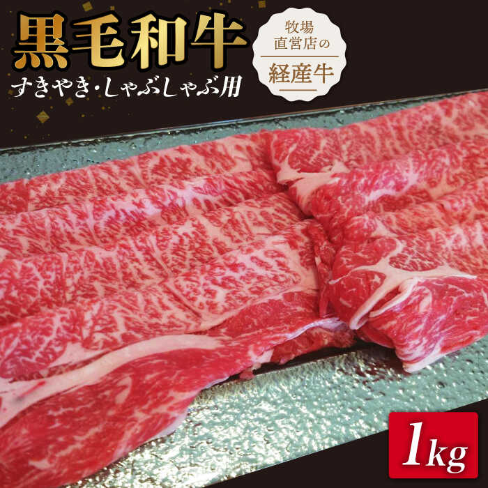 y~T߁Izq꒼cX̍јa XCX 1000g i[Xj₫EԂԗpy{Yz [IAX029]ꌧΒ20000