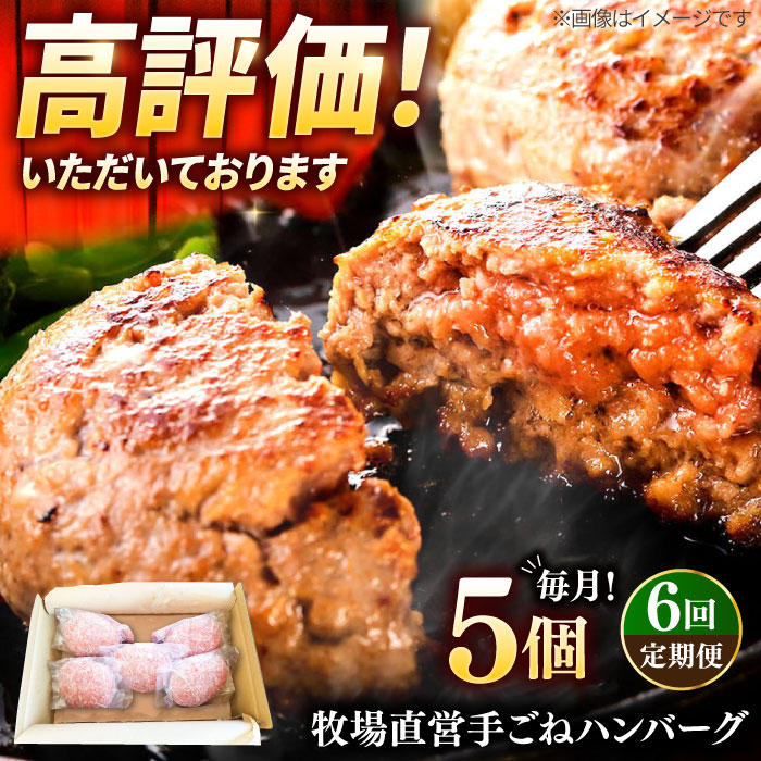 y6ցzq꒼cX̎no[Oi140g×5jy{Yz [IAX058]ꌧΒ55000HinE\[Z[Wj