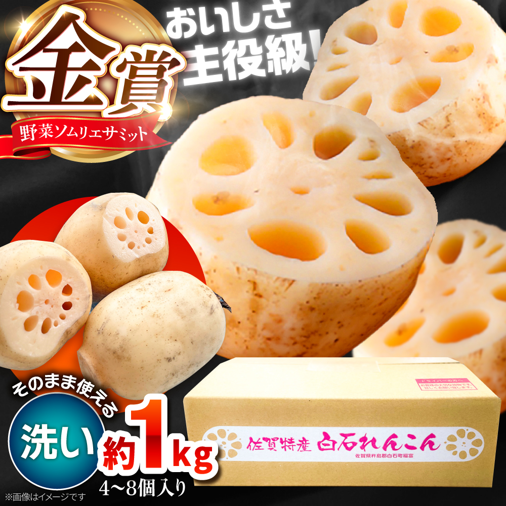 y܎܁z􂢂񂱂@v1kgi4-8j yʁz [IBD020]ꌧΒ5000؁Ê卪EjWEؗ