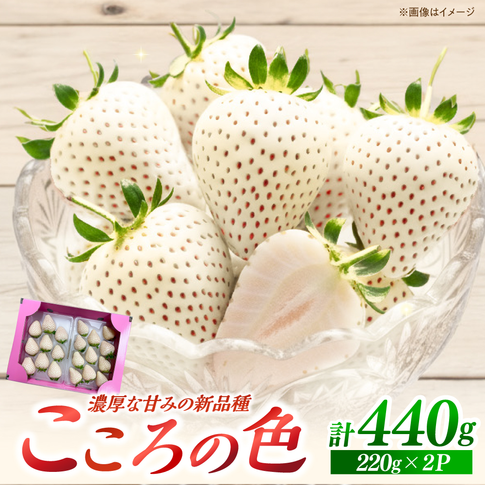 ys\zVi  ΒY  u̐Fv 220g×2pbN y]_z [IBH016]ꌧΒ17000ʕEt[c