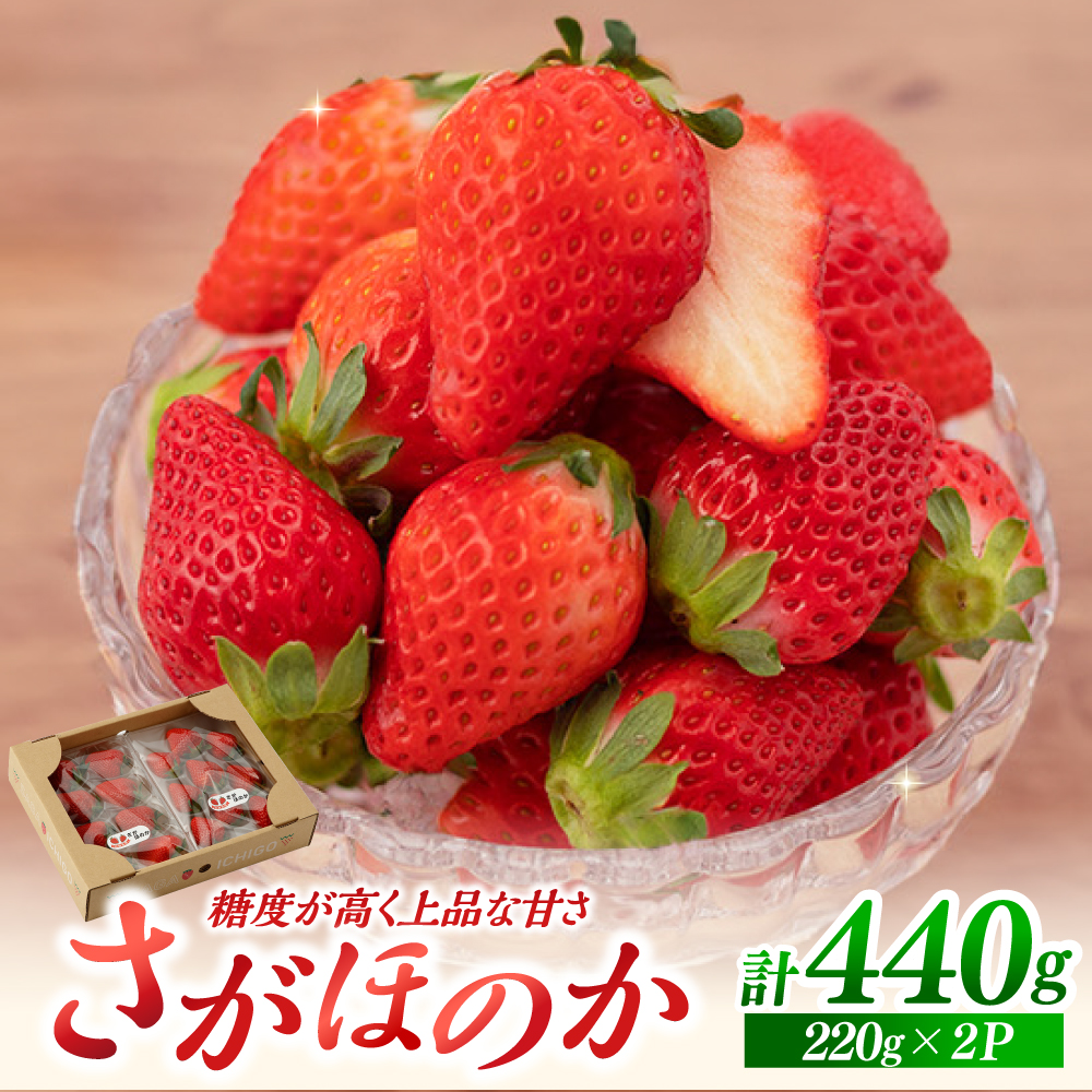 ys\zق̂ 220g×2pbN  y]_z [IBH018]ꌧΒ9000ʕEt[c