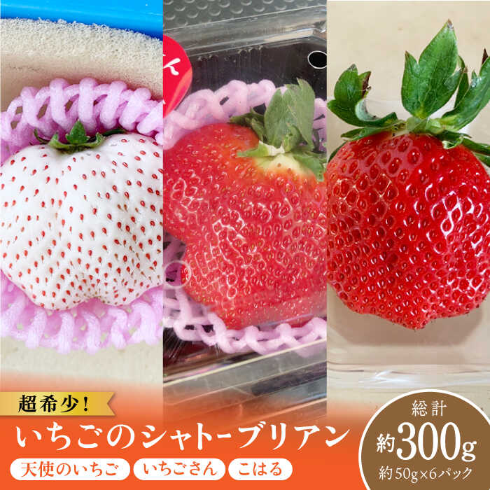 ŷz󏭁I Vg[uA 嗱   50g×6iv300gȏjyЂ̂z [IBI006]ꌧΒ30000ʕEt[c