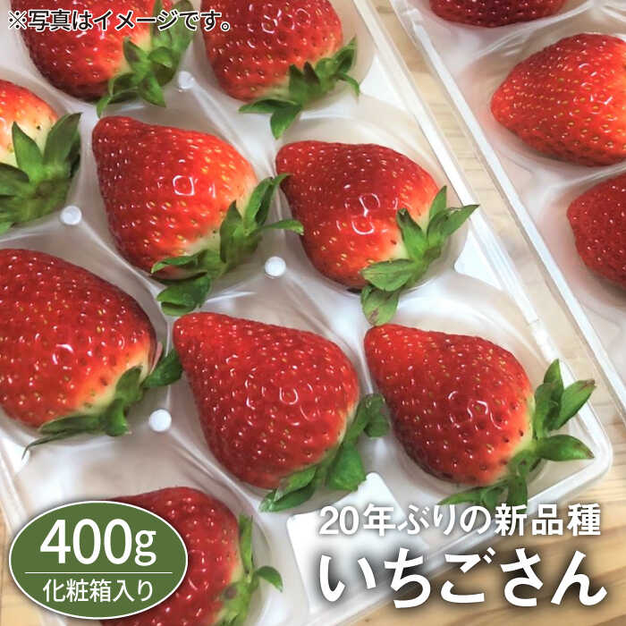 ys\z҂̐Vuhuviϔ400gj [IBJ002]ꌧΒ12000ʕEt[c