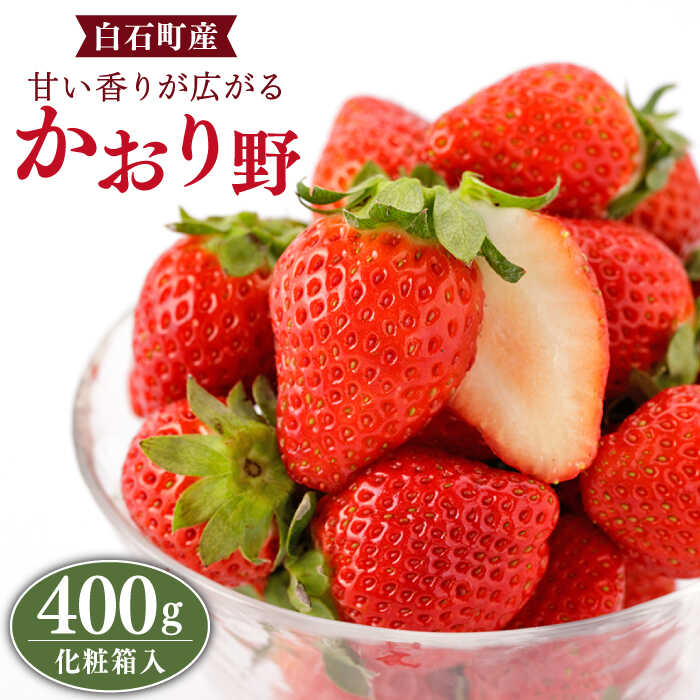 ys\zy_ƒziȍ́uv400giϔjyStrawberryFarm-Kz [IBJ005]ꌧΒ14000ʕEt[c